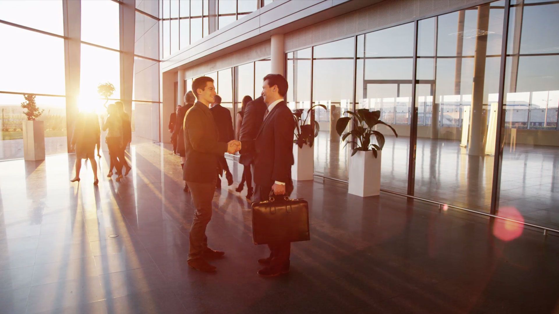 Ilex Abogados, abogados en Zaragoza